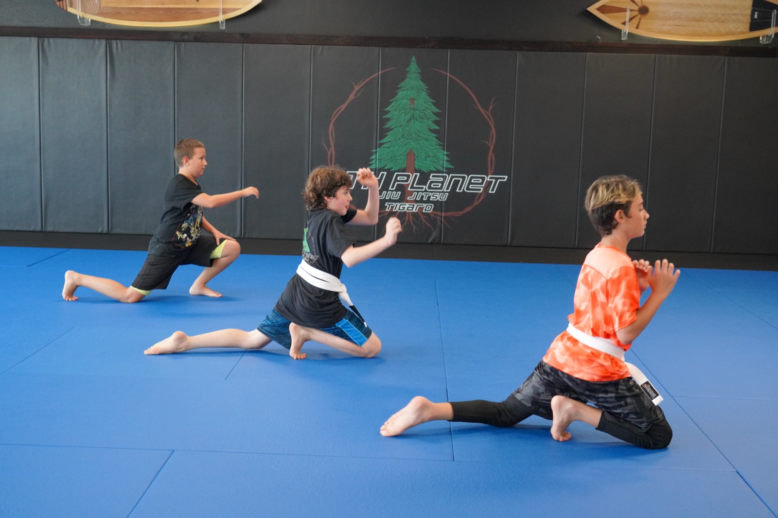 Kids learning Jiu-Jitsu in a structured class